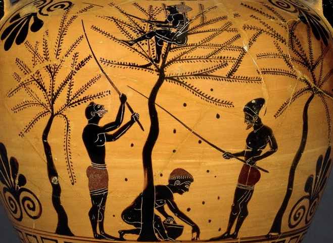 Greek Olive Oil History